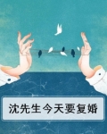 沈先生今天也想复婚全文免费