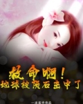 地球陨石被不明物体击落