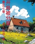 重生70年代分家