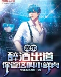 娱乐:醉酒出道,你管这叫小鲜肉笔趣阁