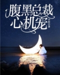 腹黑总裁心机宠