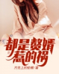 都市婿赘