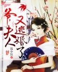 爷,夫人又逃婚了笔趣阁