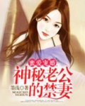 神秘老公宠妻成瘾