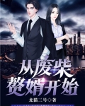 从废柴赘婿开始