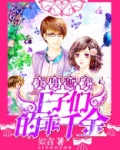 美男贩卖:王子们的乖千金小说