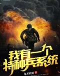 我有一个特种兵系统TXT