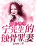 婚途漫漫：宁先生的蚀骨罪妻