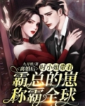 离婚后江小姐携崽惊艳全球作者小沧沧