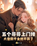 5个大佬哥哥 小说
