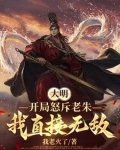 大明历经六朝终成大将军王