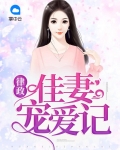 小说律政佳人