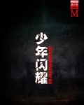 少年闪耀（谜小说系列）