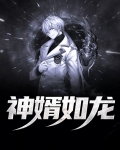 豪婿如龙夏尘