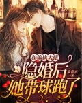 和偏执大佬隐婚后,她带球跑了