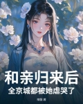 和亲公主回来了晋江