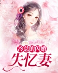 闪婚冷面总裁