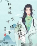 红楼之林家有嫡子txt