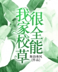我家校草很全能完整版