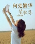 何处繁华笙歌落攻略