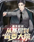 重生官场：从基层到省委大院