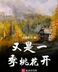 又是一季桃花开的文案