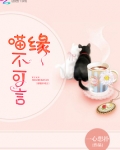 缘喵不可言