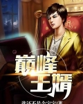 巅峰王婿百度网盘