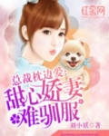 甜心娇妻难驯服