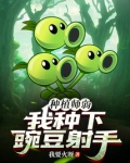 豌豆射手怎么种