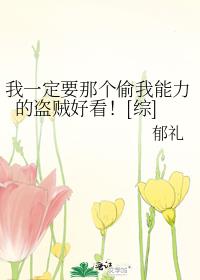 我一定要那个偷我能力的盗贼好看综 小说