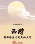 西游之我才是真正的孙悟空
