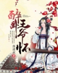 醉卧王爷怀