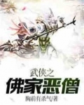 武侠之佛家恶僧全集免费下载