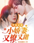 替嫁小娇妻怀里来