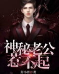 神秘老公惹不起全集免费