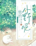 他的小野栀