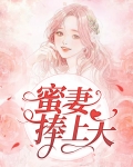 蜜妻捧上天