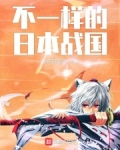 不一样的日本战国