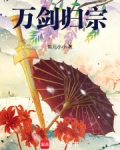 万剑归宗是什么意思