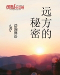 远方的秘密