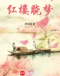 红楼晓梦TXT笔趣阁