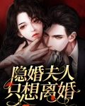 隐婚妻子要离婚