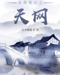 盗墓笔记之天网