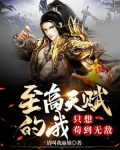 至高天赋小说