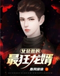 女总裁的最狂龙婿叶飞唐