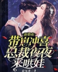新婚夜带崽冲喜总裁夜夜来哄娃历南爵小说免费阅读