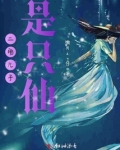 二胎又是儿子