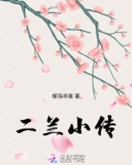 年世兰人物小传