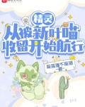 从精灵训